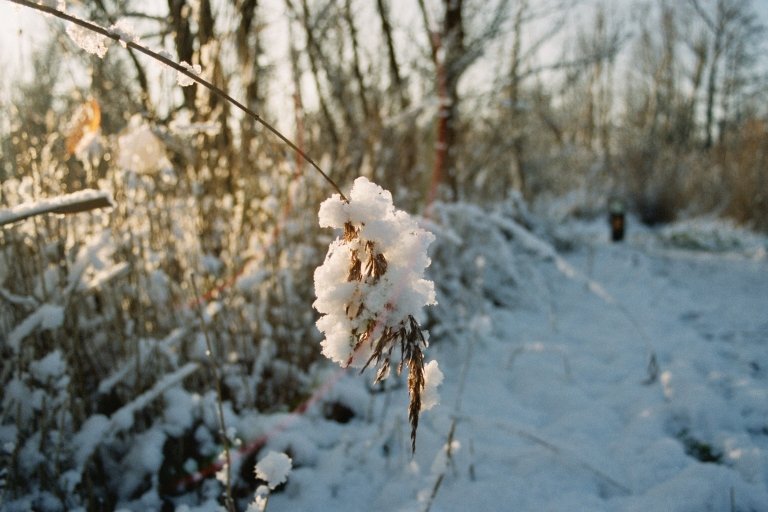 2004010204 sneeuw takje